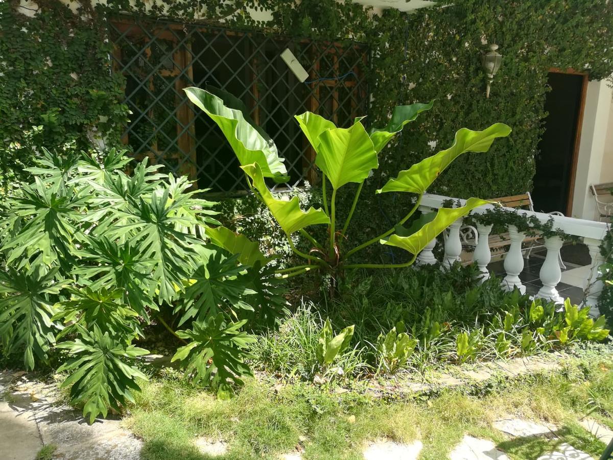Carolina Puerto Plata