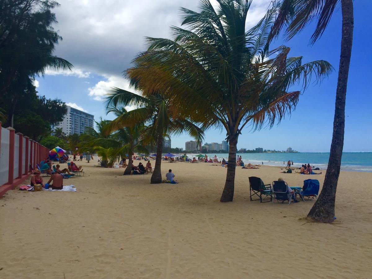Apartment Coral Beach Beachfront Family Studio Apt. *