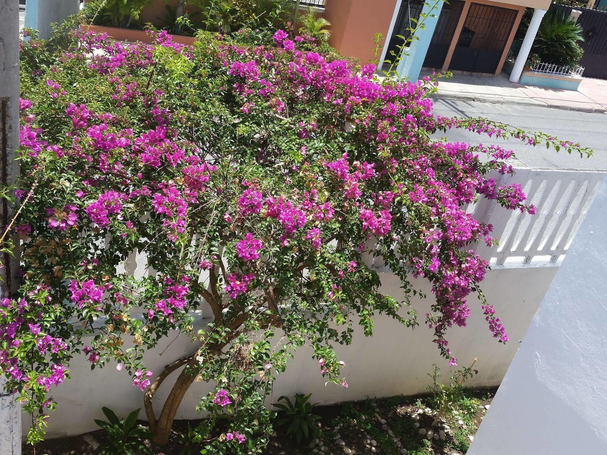 Residencial Allegra Guest house