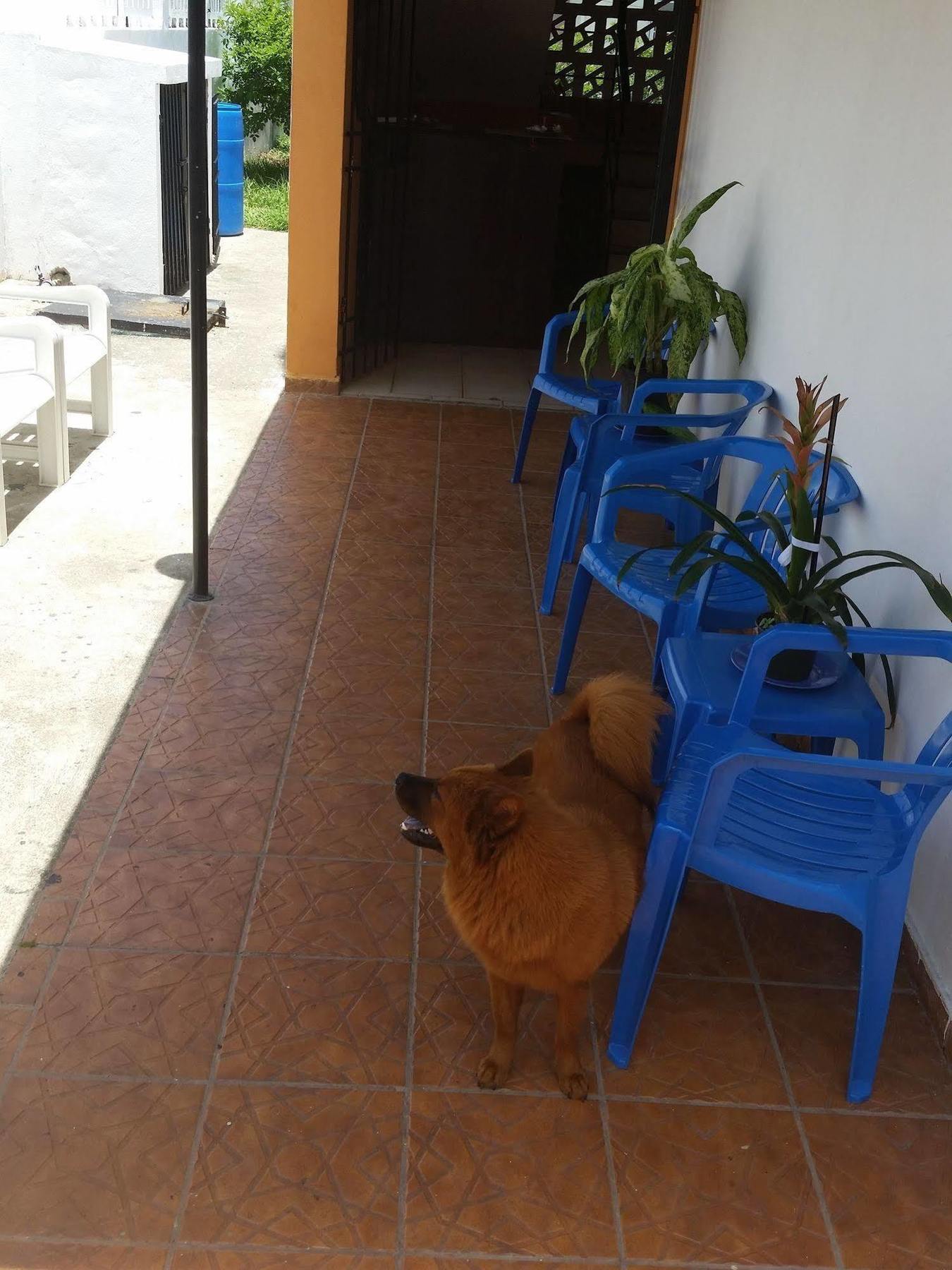 Residencial Allegra Guest house 2*