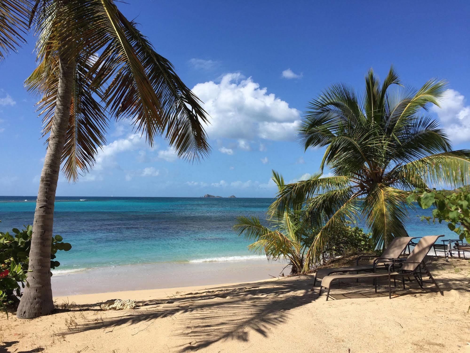 Mango Bay