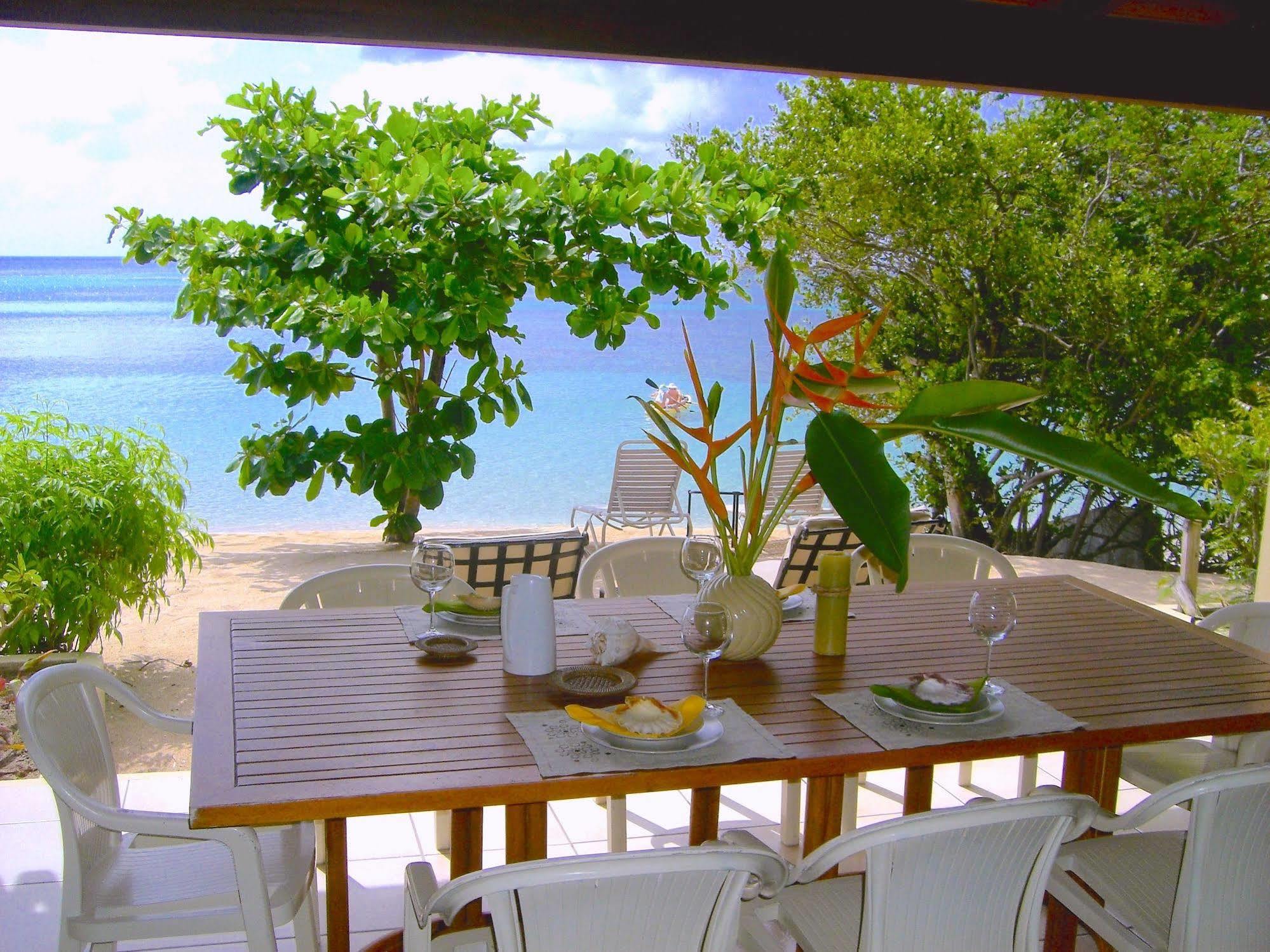 Resort Mango Bay Spanish Town