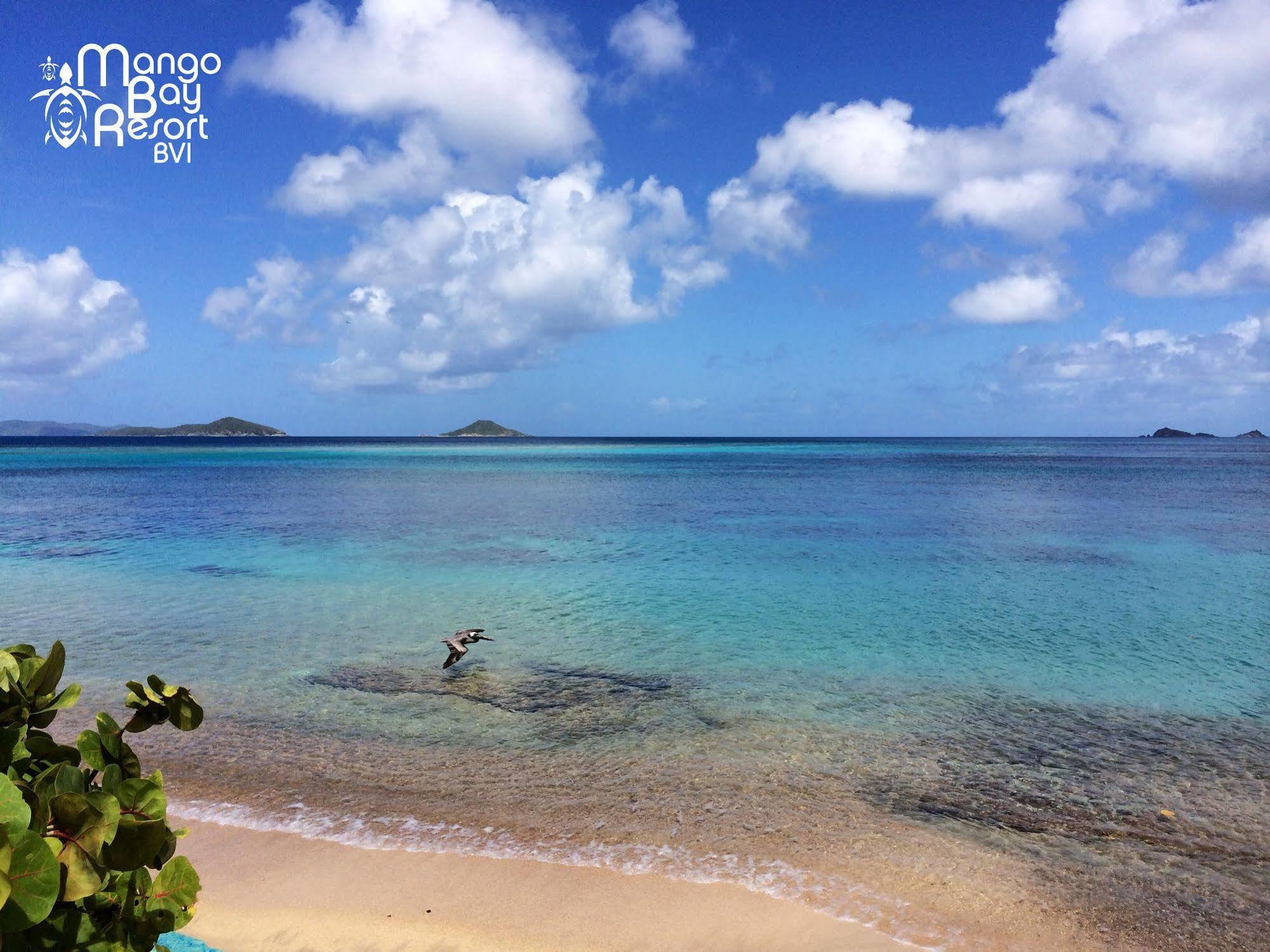 Mango Bay 3* Spanish Town