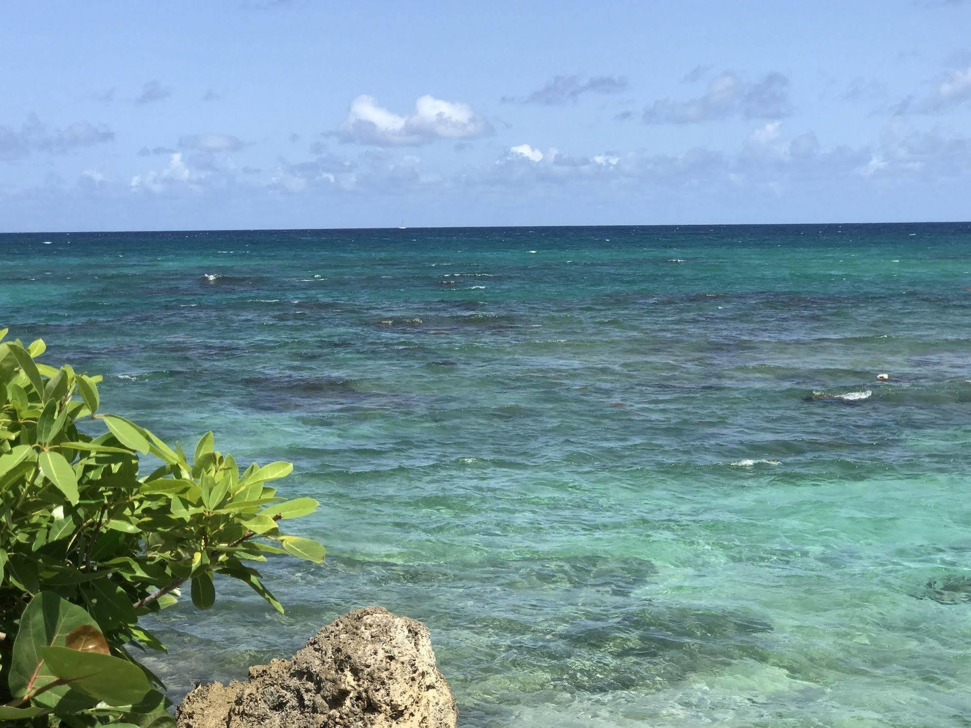 Apartment Ti.maanga Vue Pieds Dans L'eau Saint-Francois (Grande-Terre)