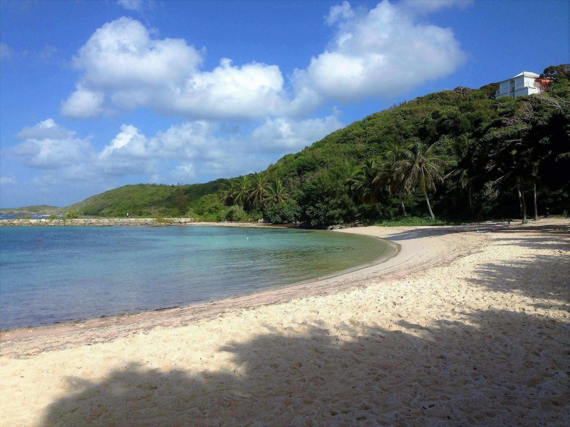 Ti.maanga Vue Pieds Dans L'eau Apartment Saint-Francois (Grande-Terre)