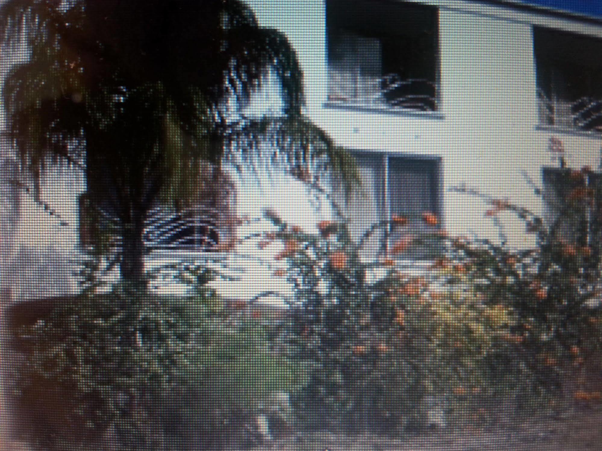Coral Lane Hotel