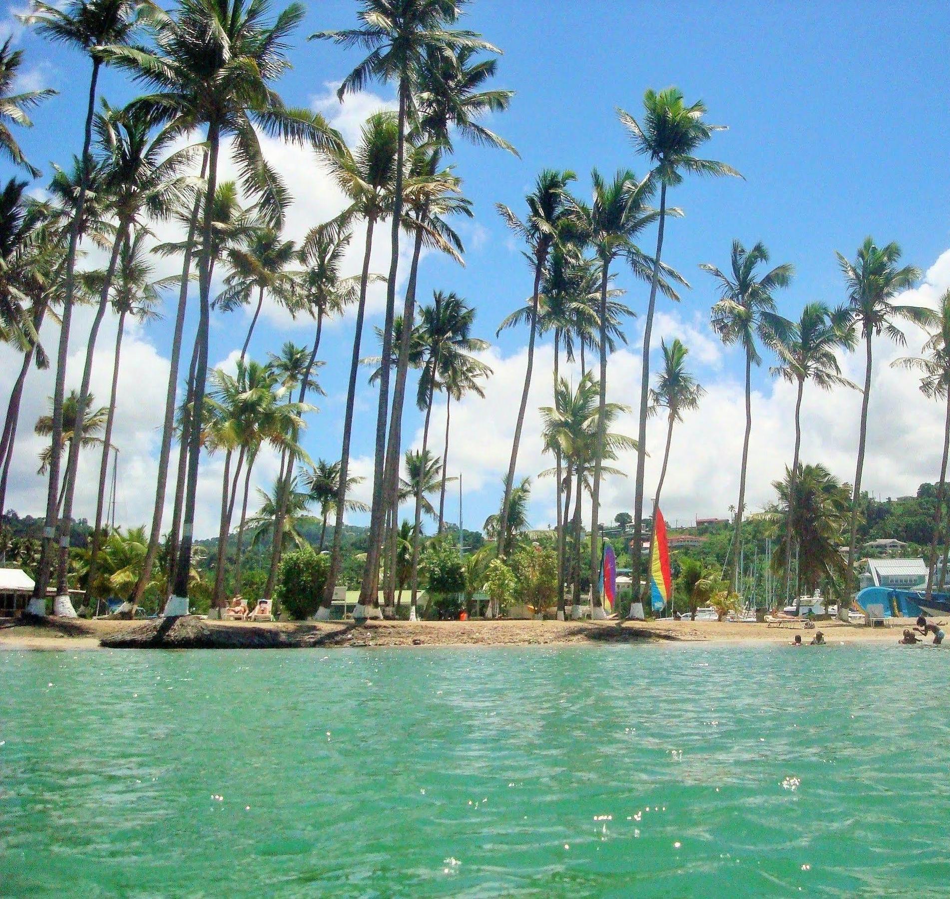 Mango Beach Bed & Breakfast