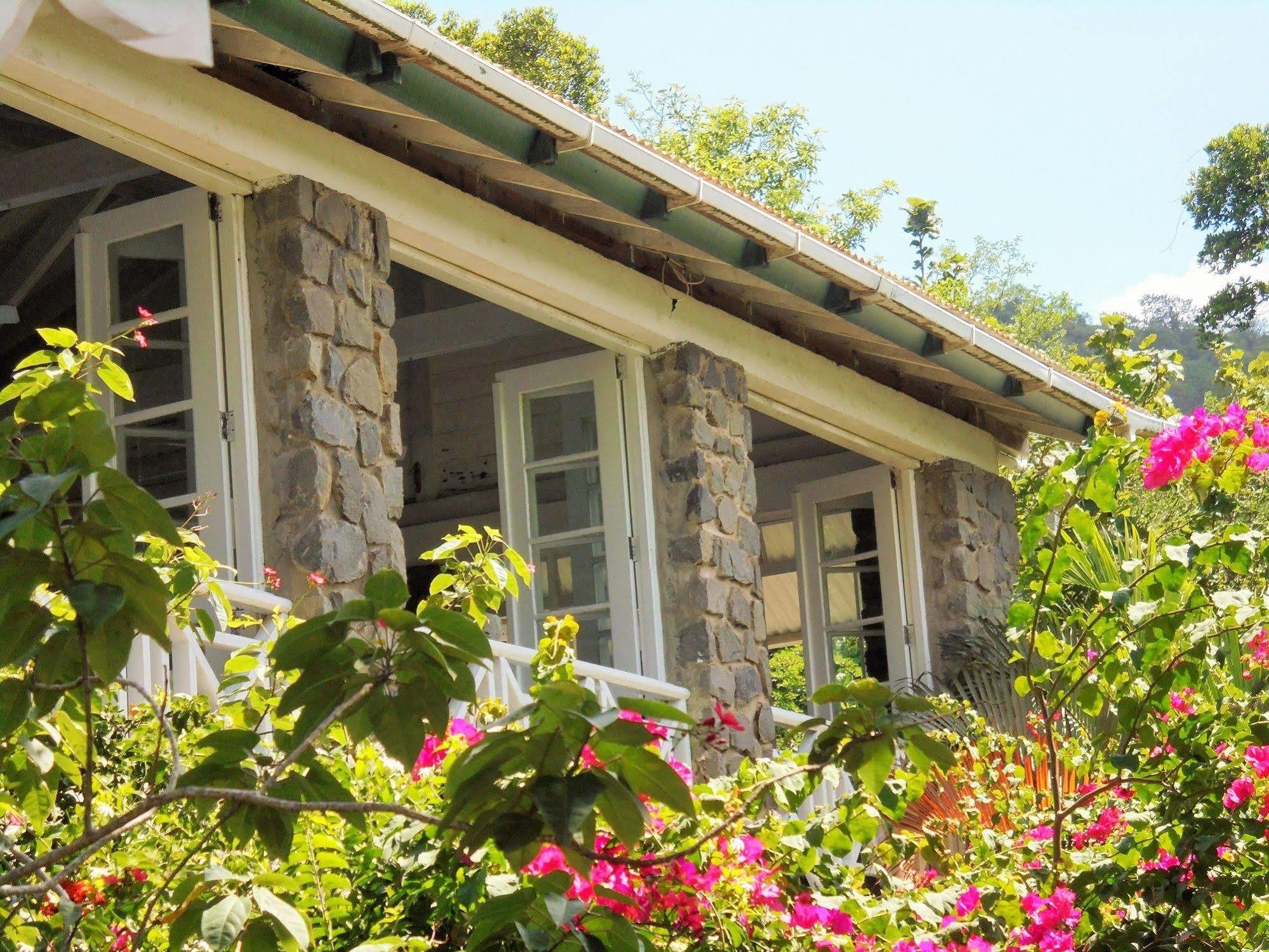 Bed & Breakfast Mango Beach