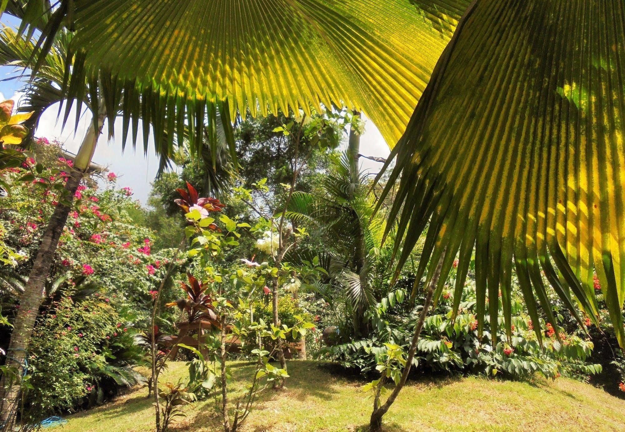 Mango Beach