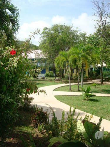 Nanny Cay