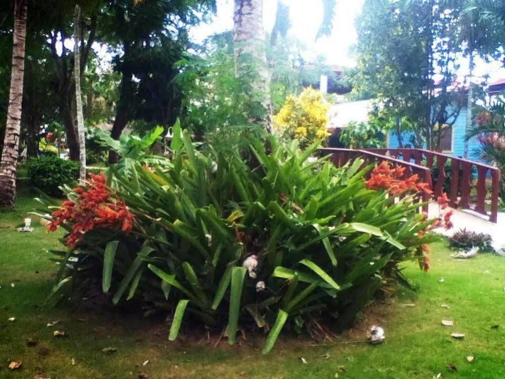 Plaza Real Hotel 3*