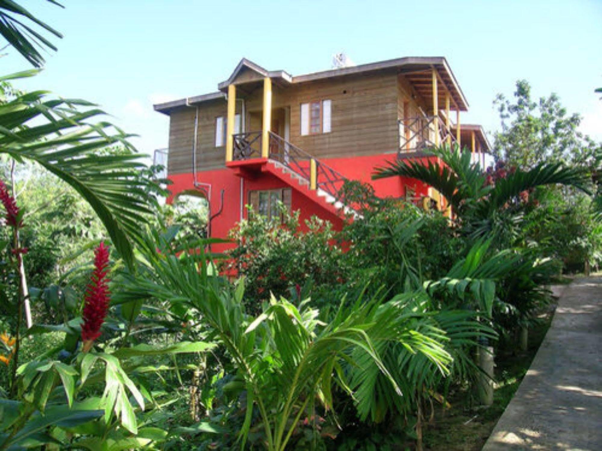 Bay View Eco & 3*