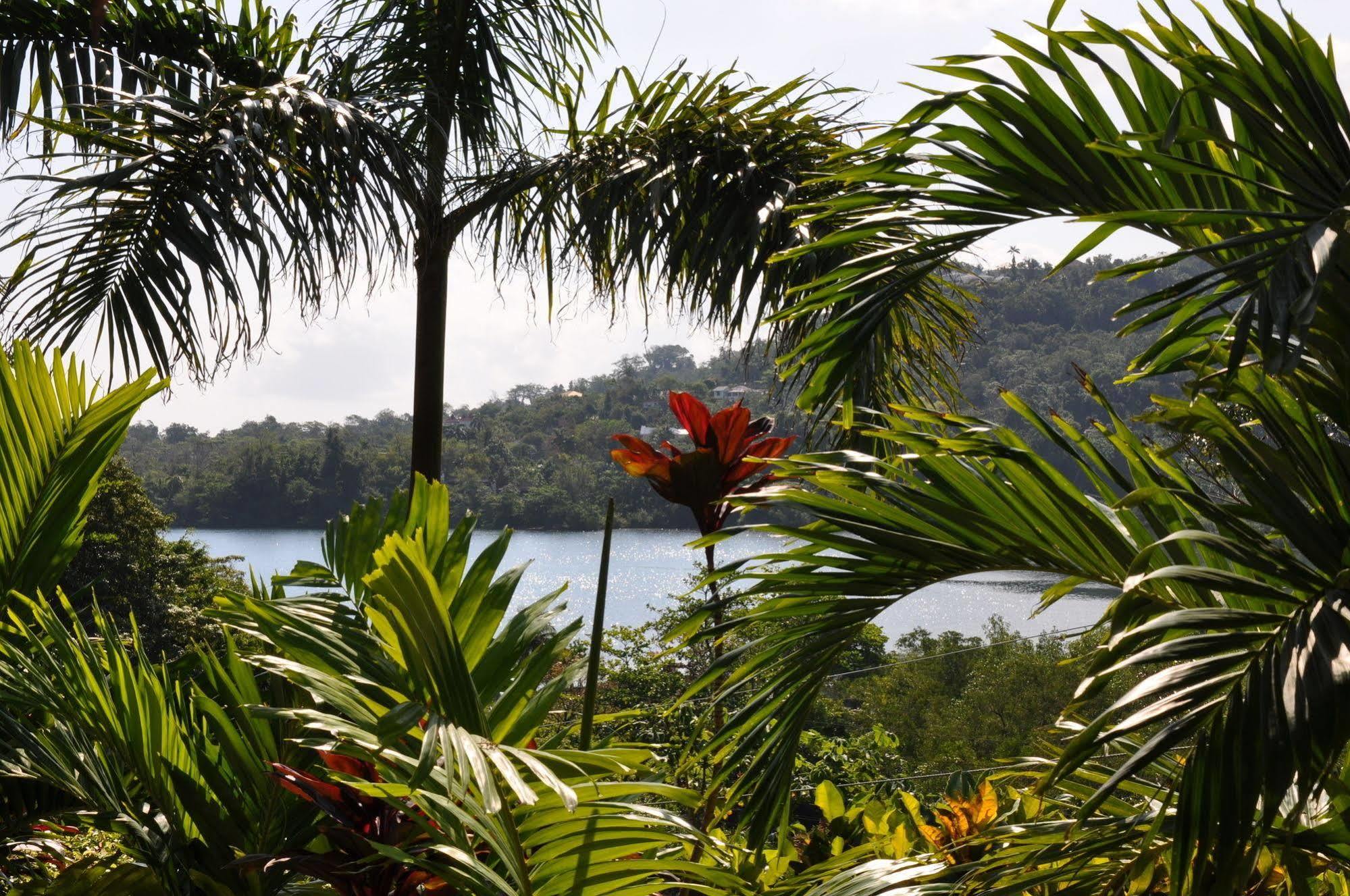Bay View Eco & Port Antonio