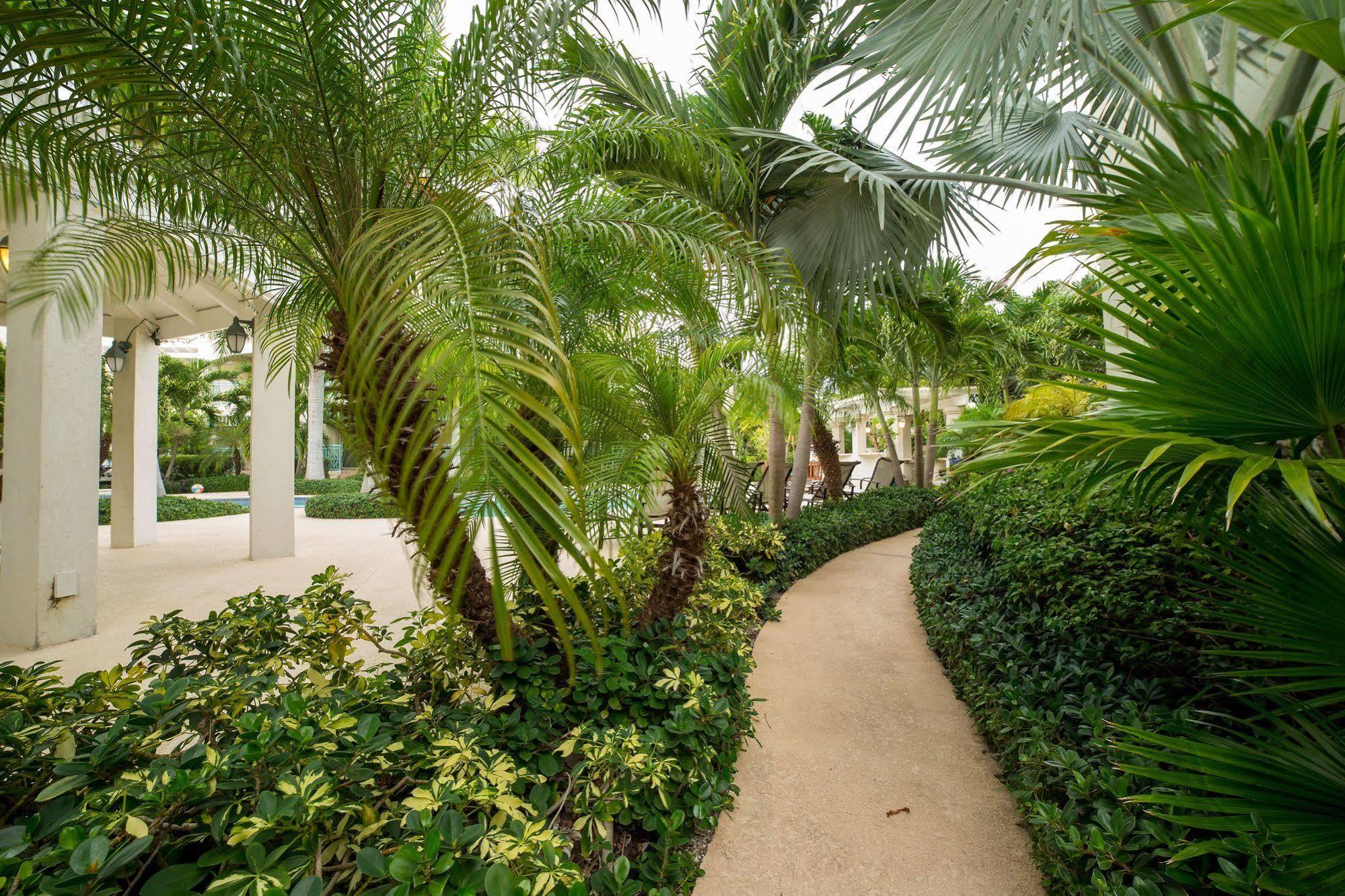 Caribbean Diamond