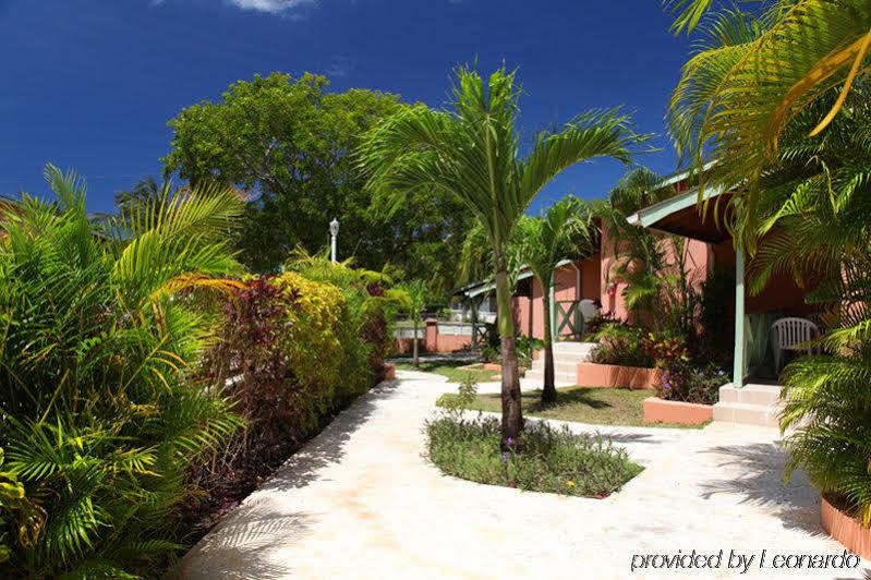 Halcyon Palm Apartment