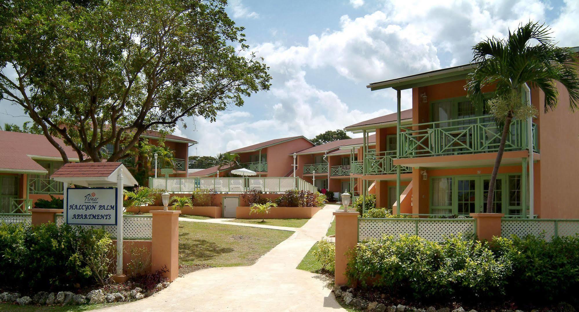 Halcyon Palm Apartment