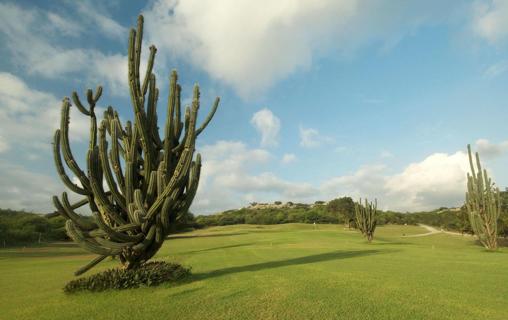 Bayside Boutique - Blue Bay Golf & Sint Michiel