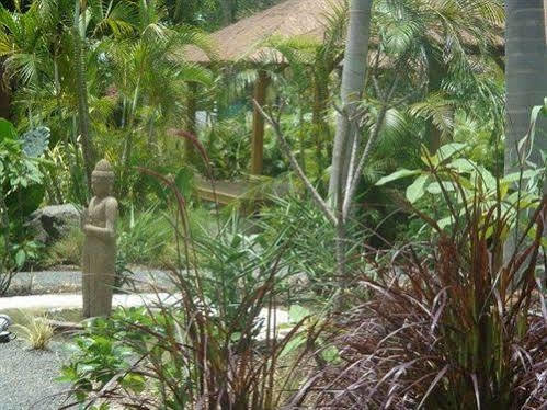 La Plantation &