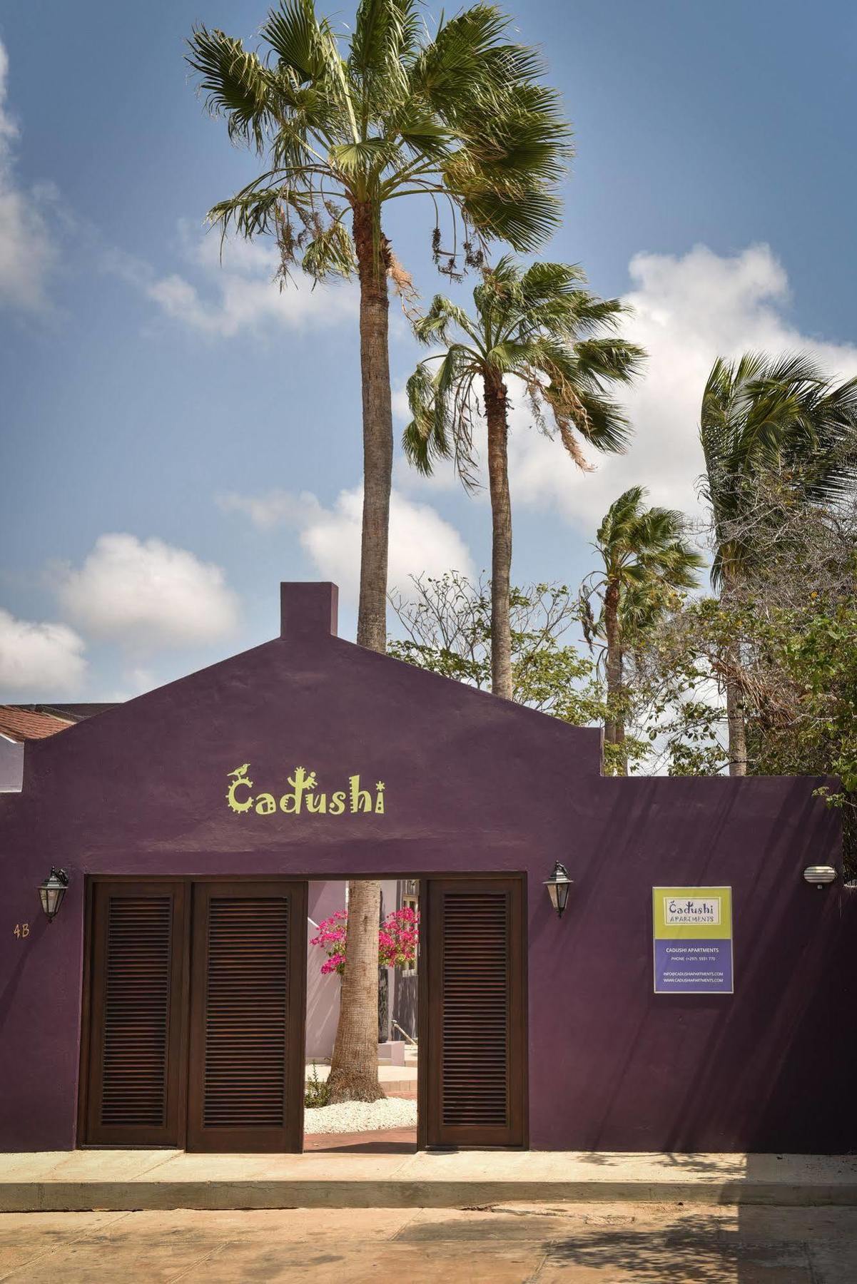 Apartamento Cadushi *