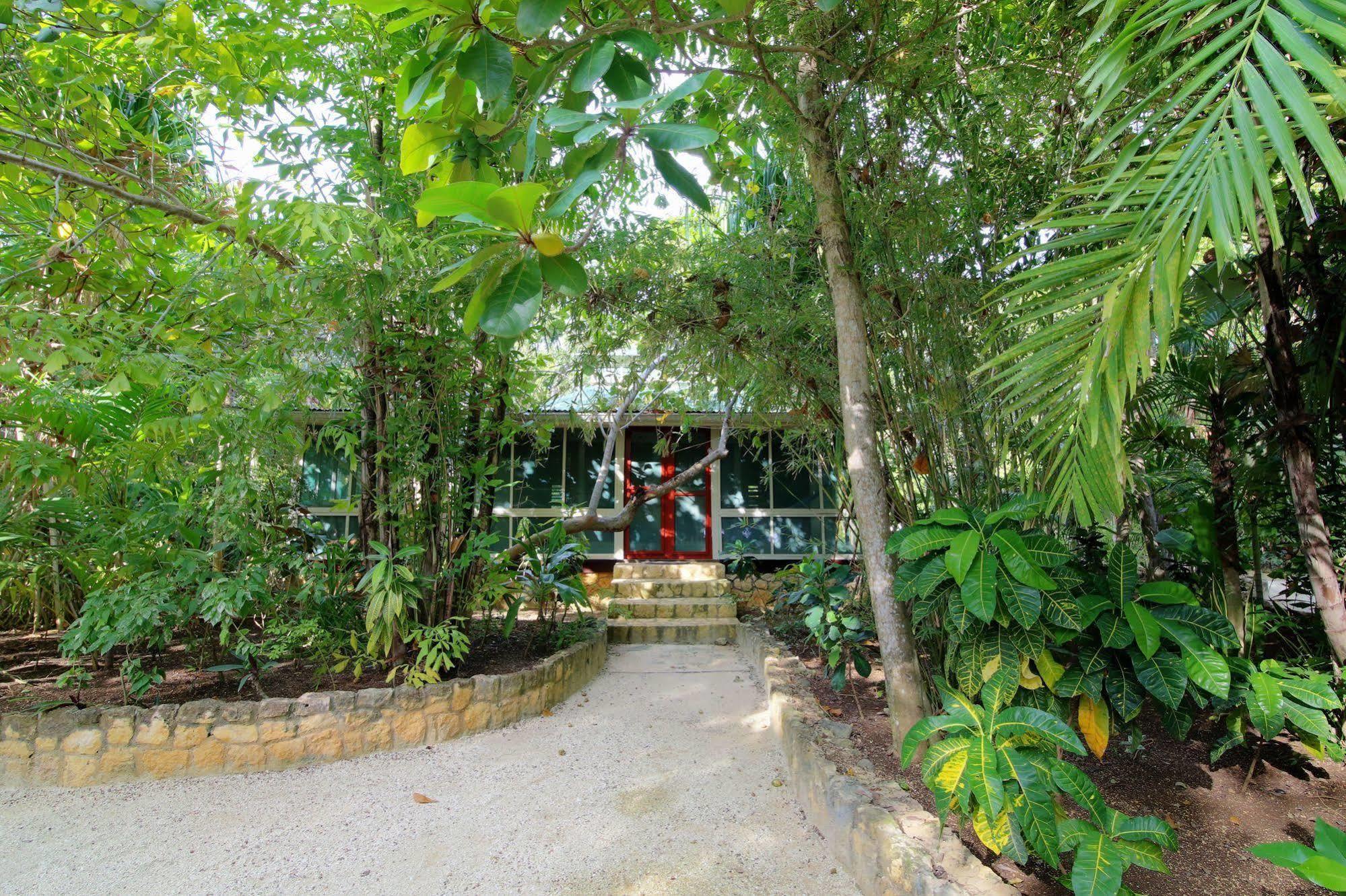 Tingalaya's Retreat Guest house Negril