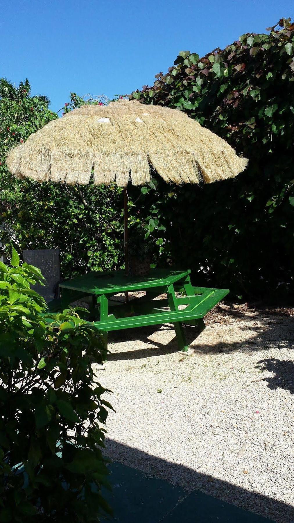 Eldemire's Tropical Island 3* George Town