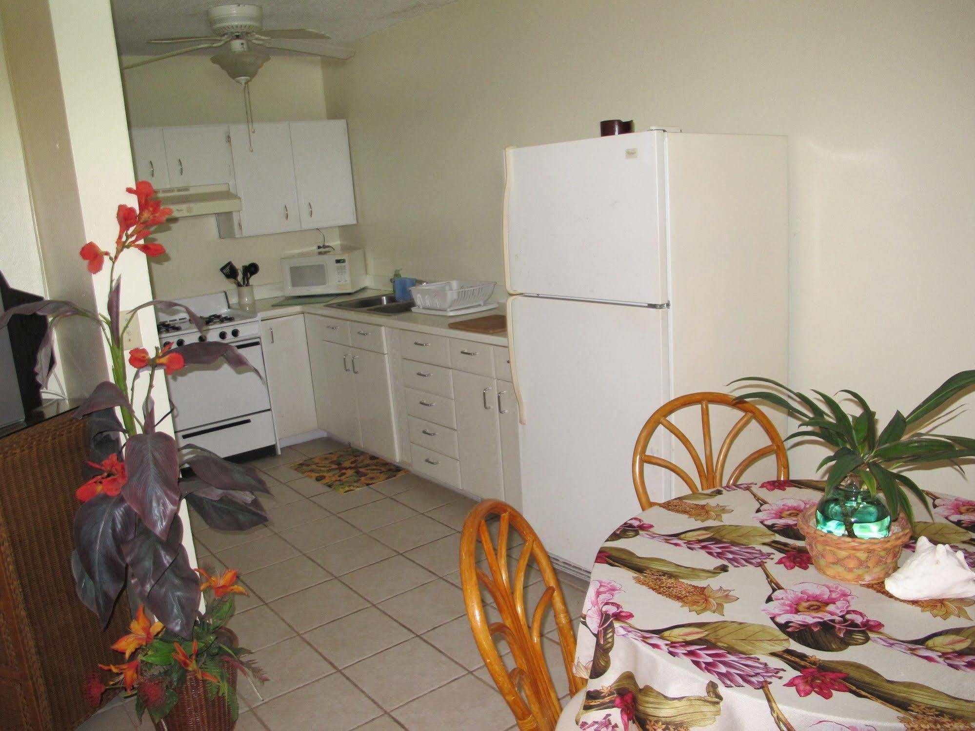 Inn Eldemire's Tropical Island 3*