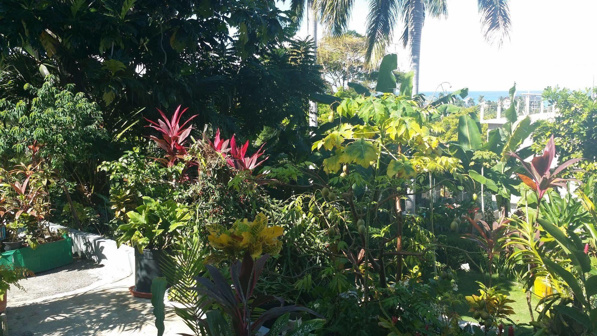 Palm View