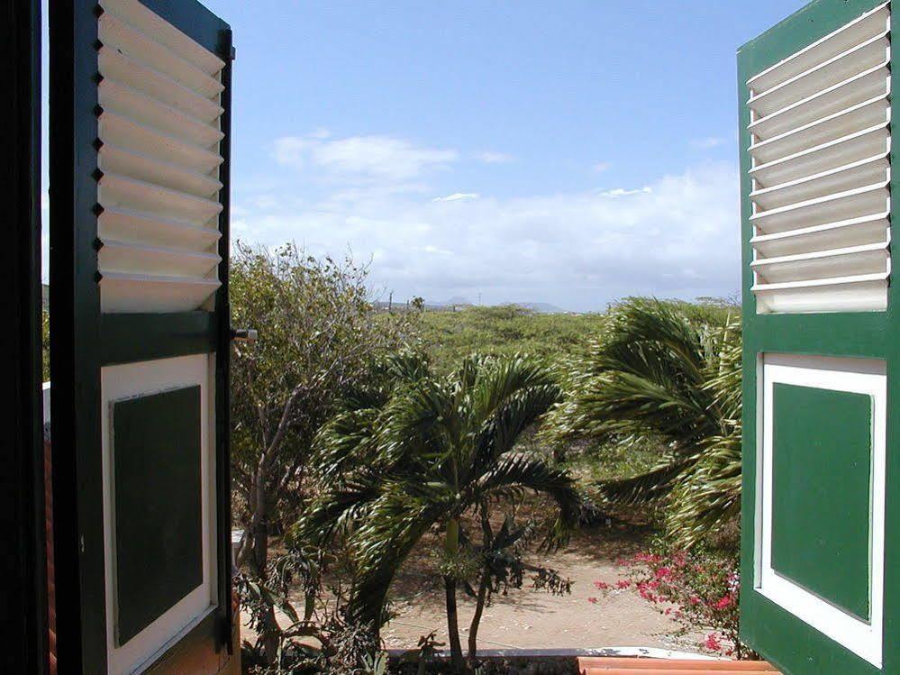Daniel - Plantation House