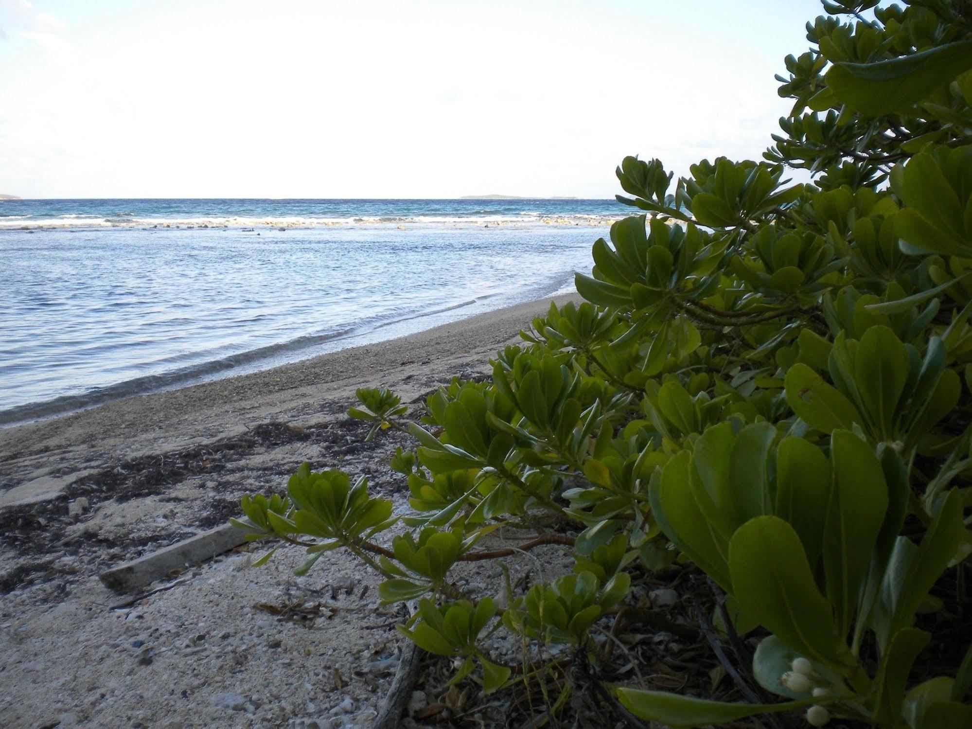 Virgin Islands 2*