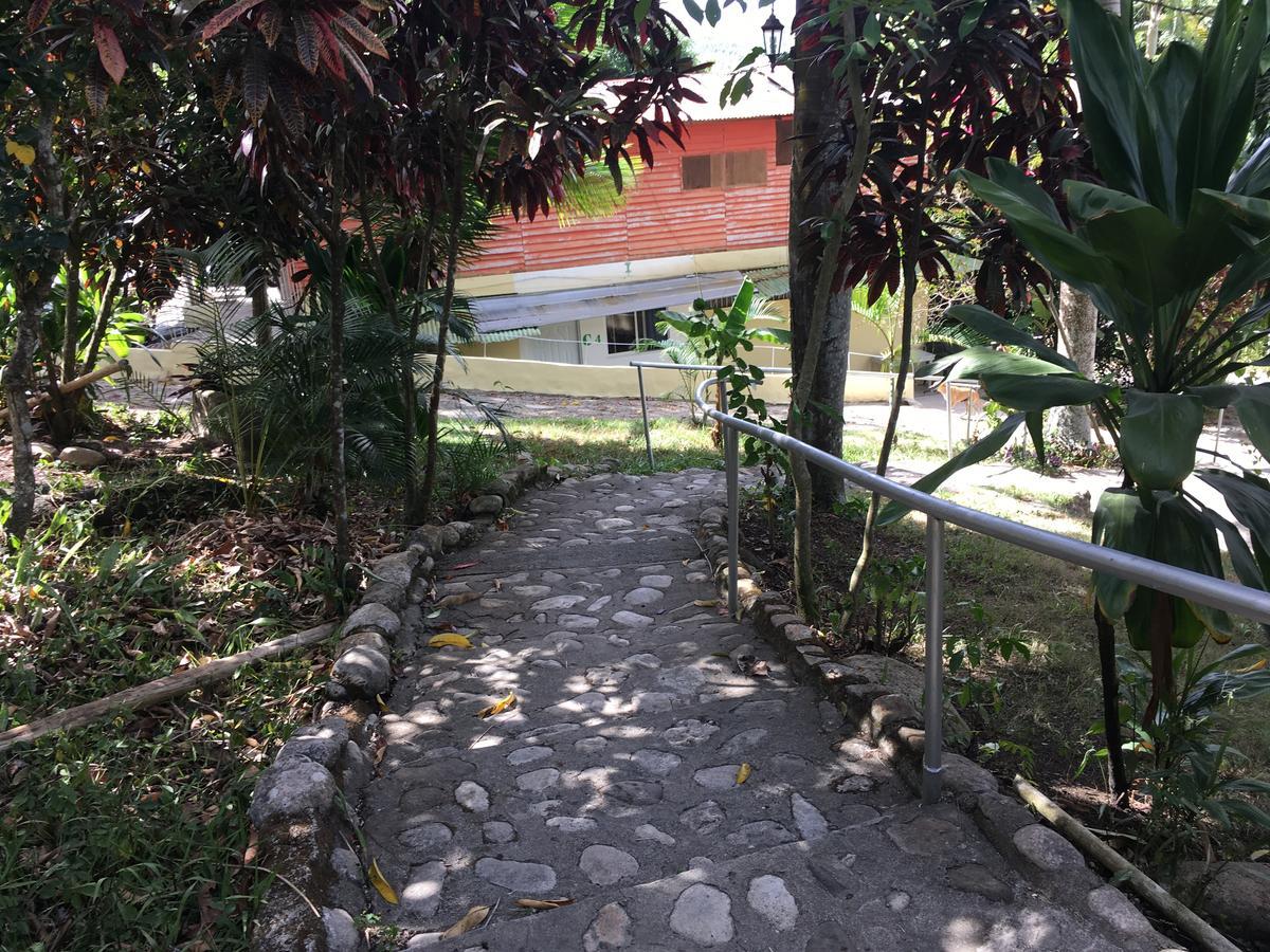 Real Dominican Republic Discovery Bed & Breakfast Puerto Plata