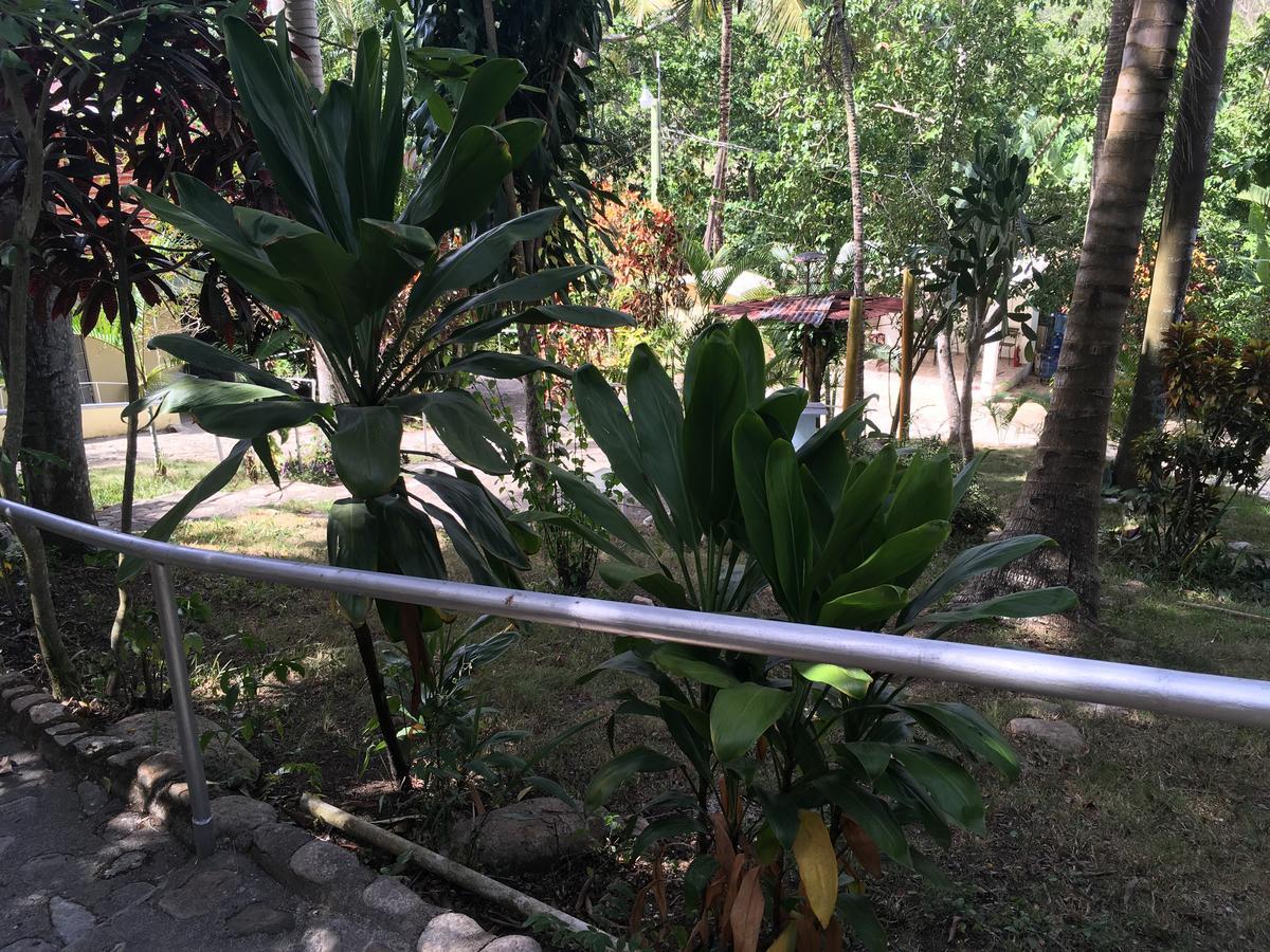 Real Dominican Republic Discovery Puerto Plata