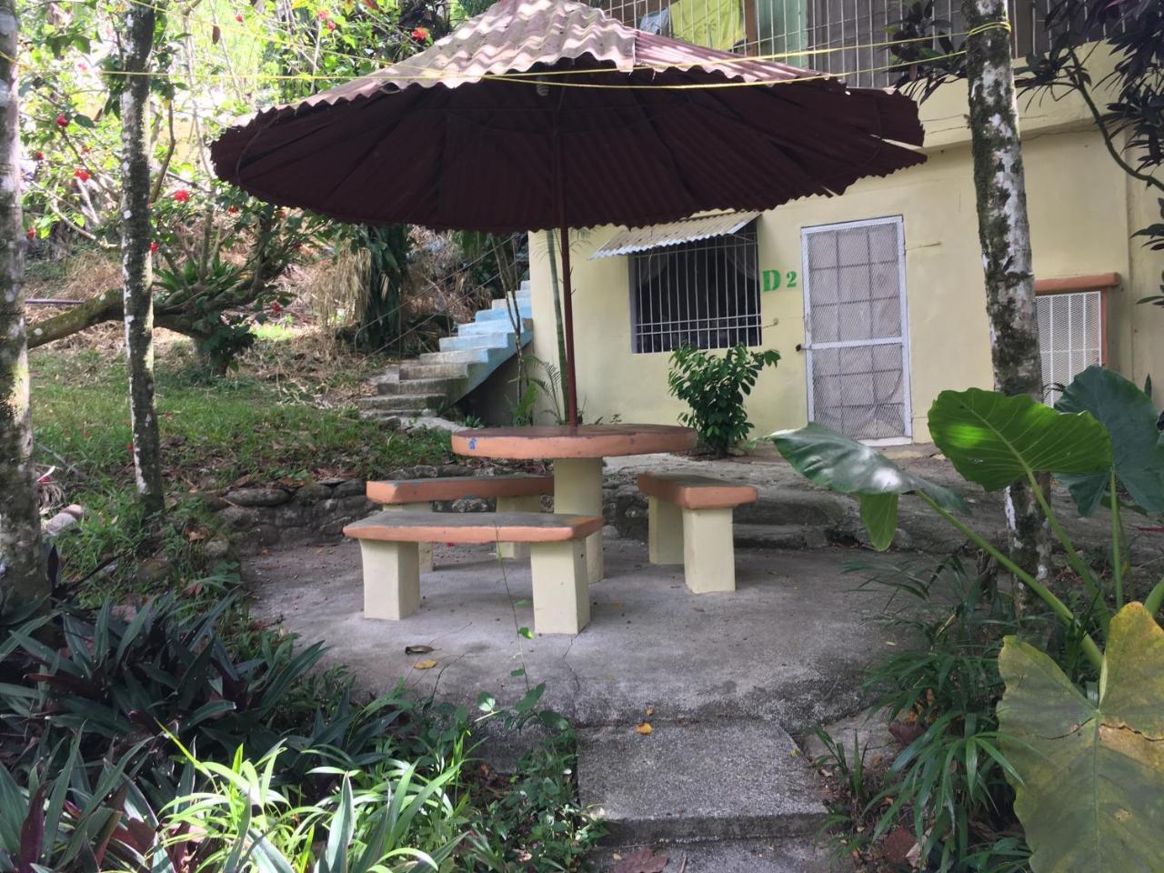 Real Dominican Republic Discovery Bed & Breakfast Puerto Plata