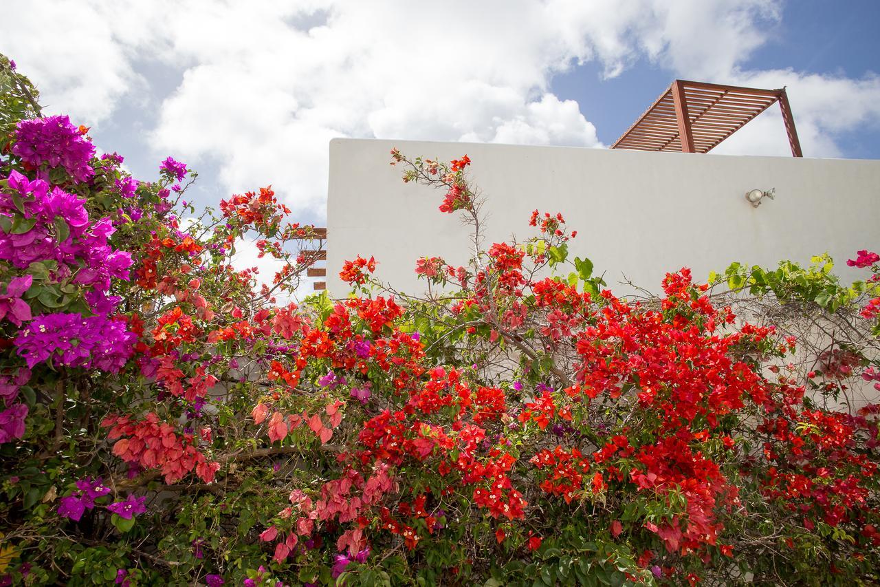 Fun Aparthotel Bonaire