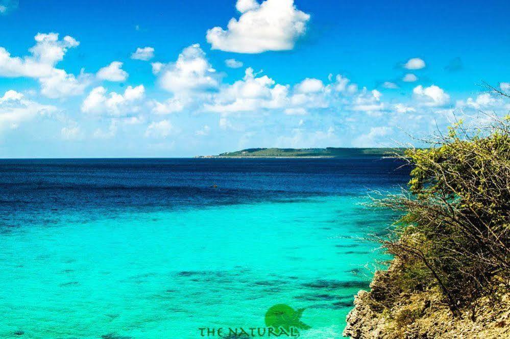 Aparthotel Bandabou Breeze Curacao Willibrordus