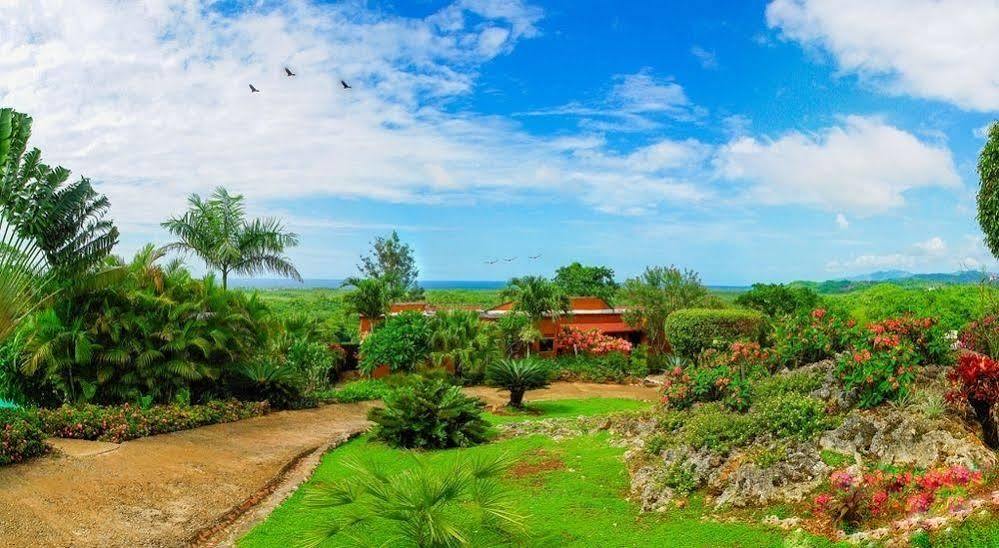 Monte Placido