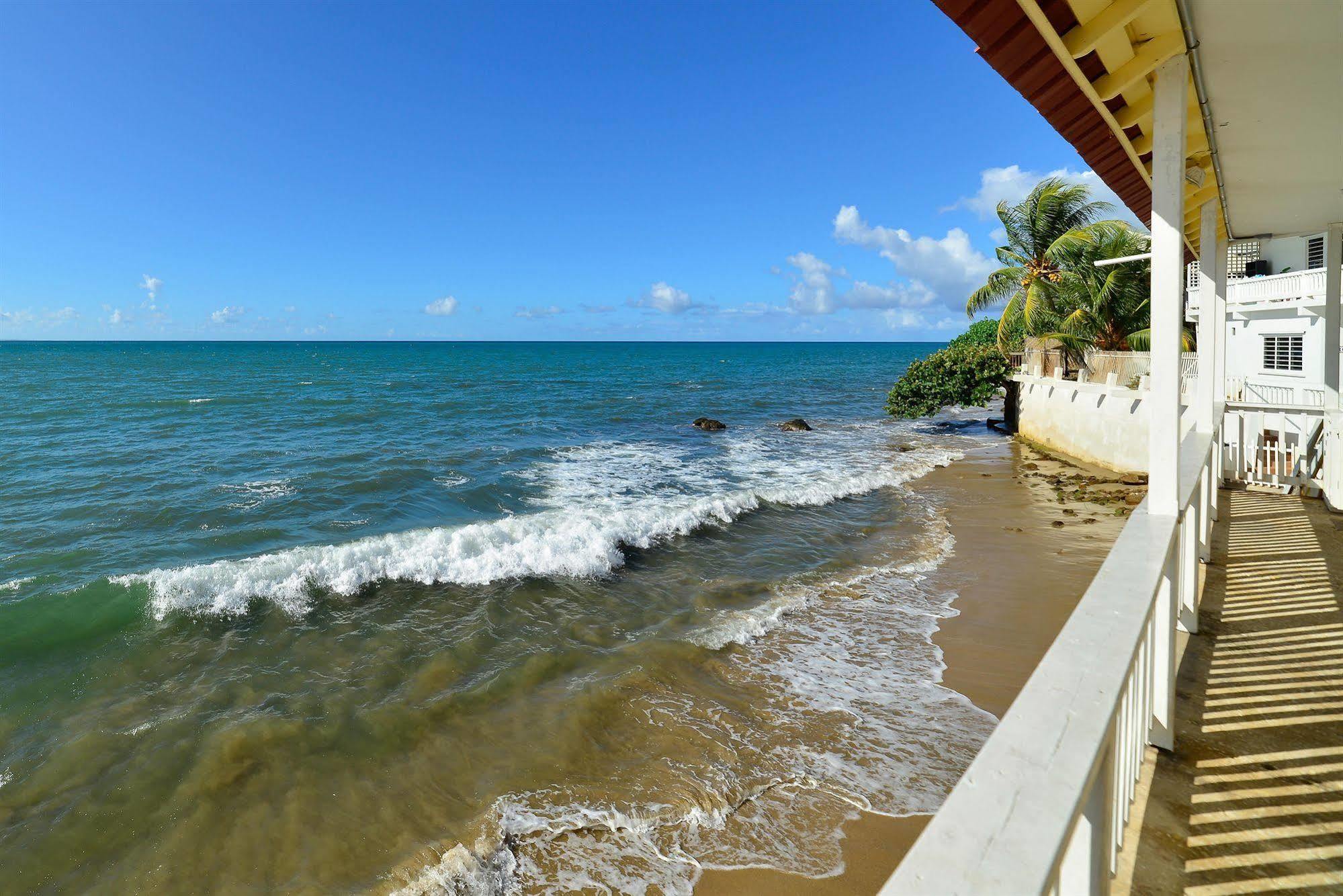 Lemontree Oceanfront Cottages Hotel Rincon