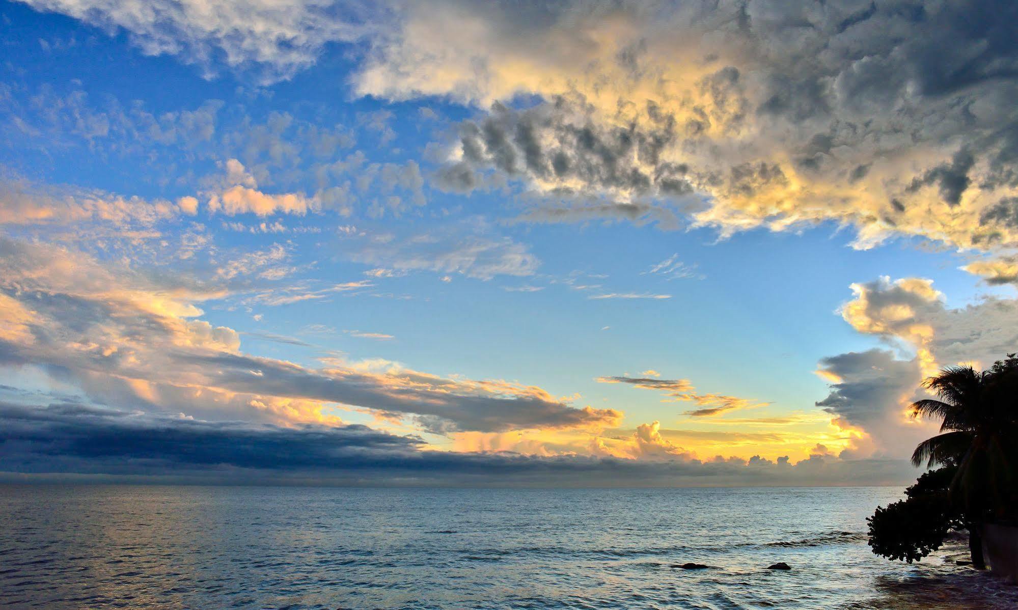 Hotel Lemontree Oceanfront Cottages 2*