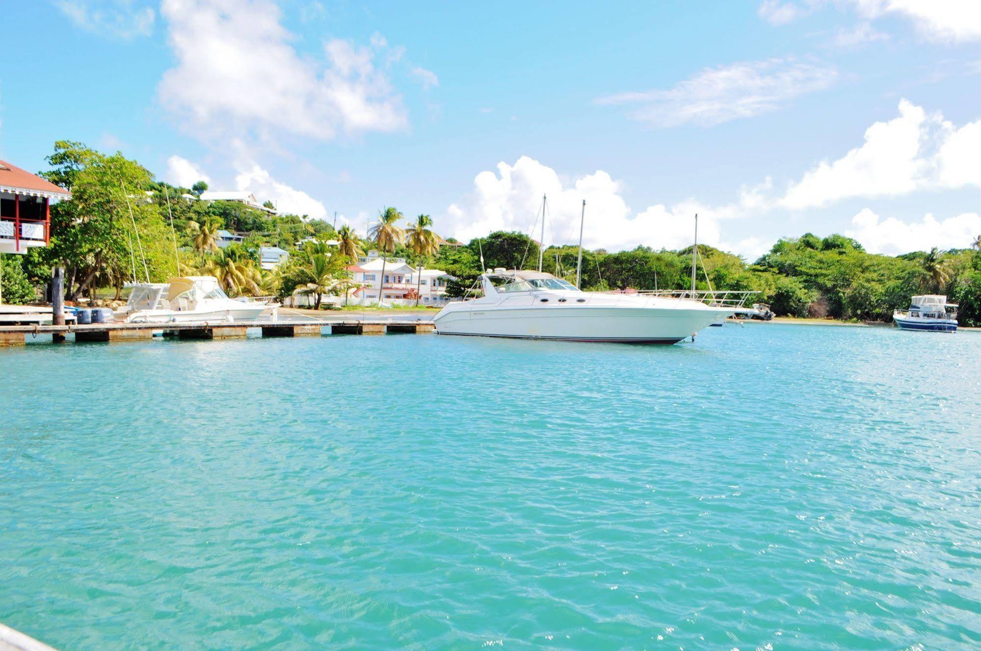 Blue Lagoon And Marina Ltd Hotel Kingstown