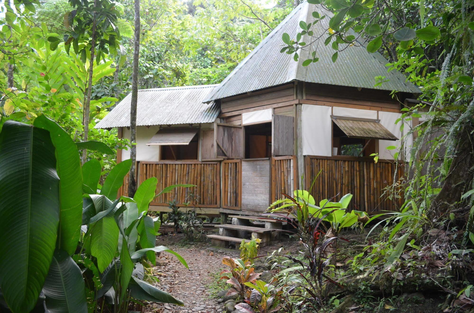 Roots Jungle Retreat Lodge Marigot