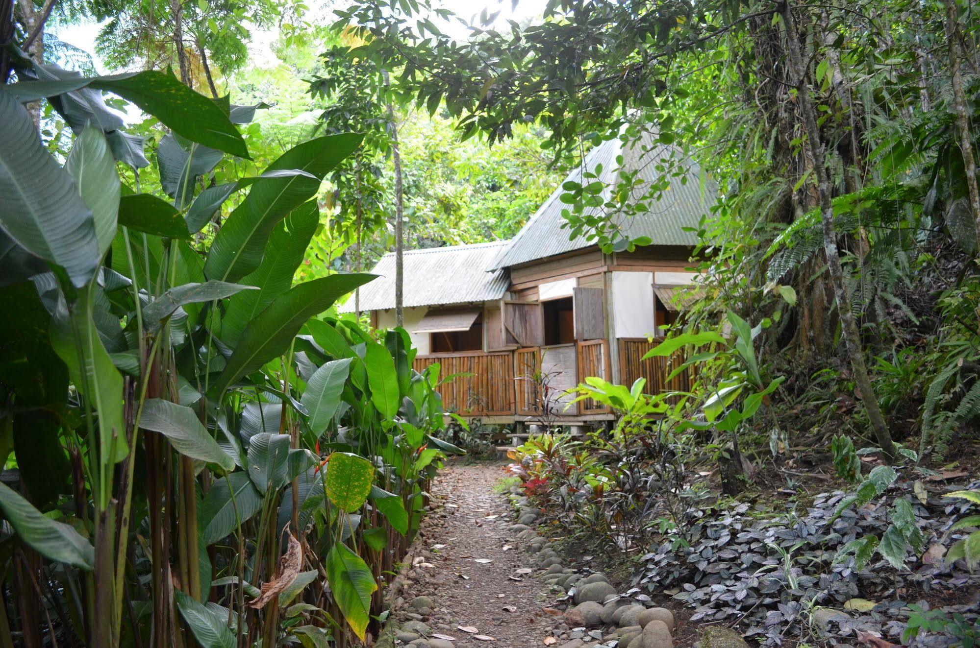 Roots Jungle Retreat Lodge Marigot