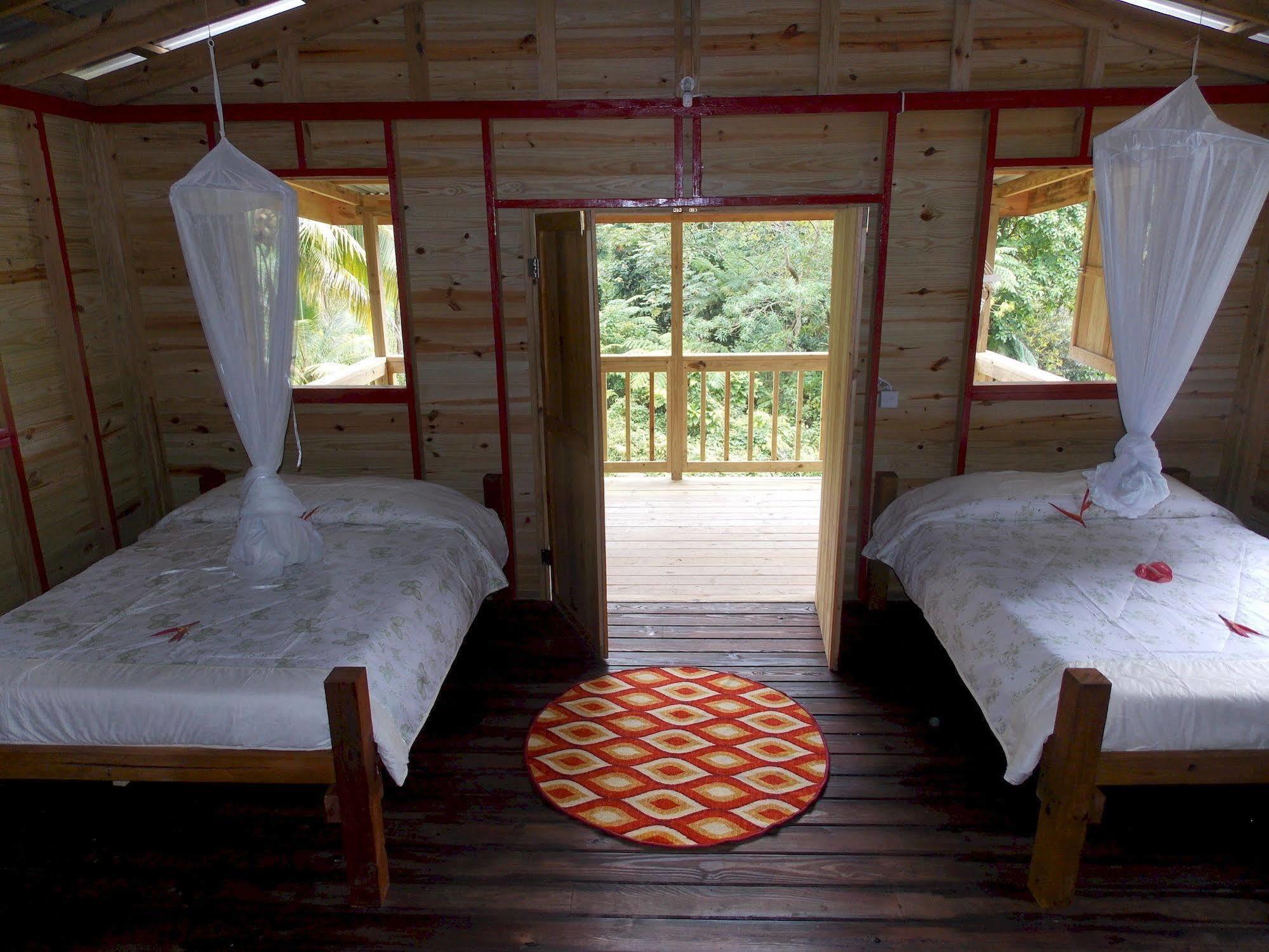 Roots Jungle Retreat *