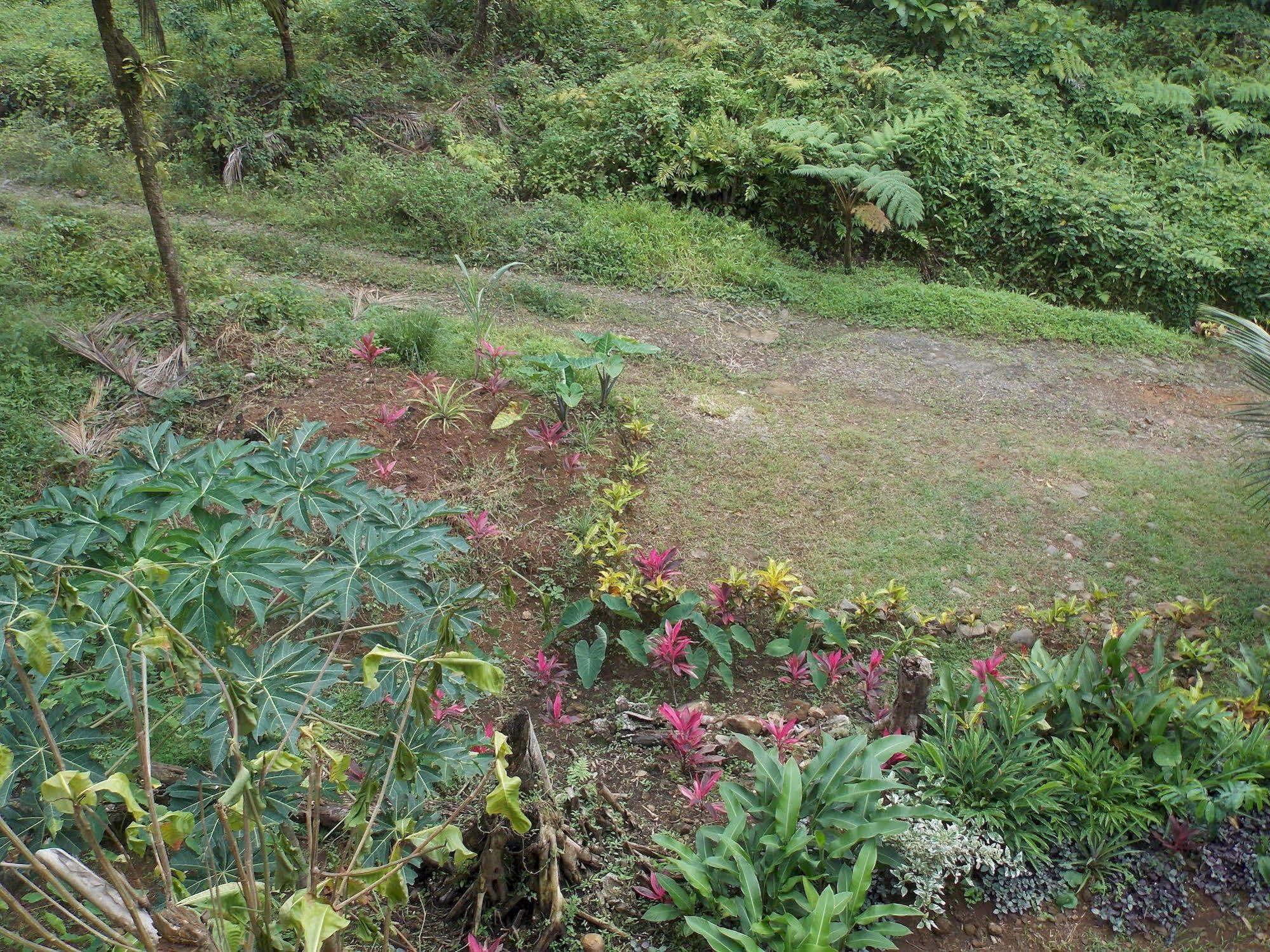 Lodge Roots Jungle Retreat Marigot