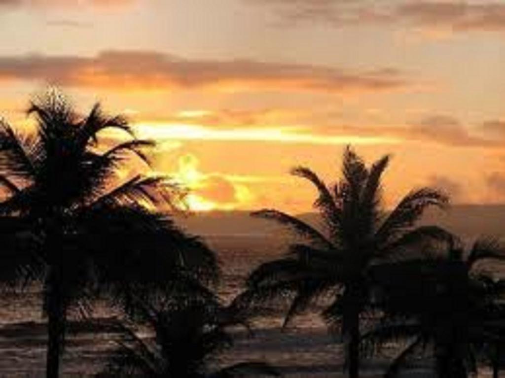 Hotel Sunrise 4*