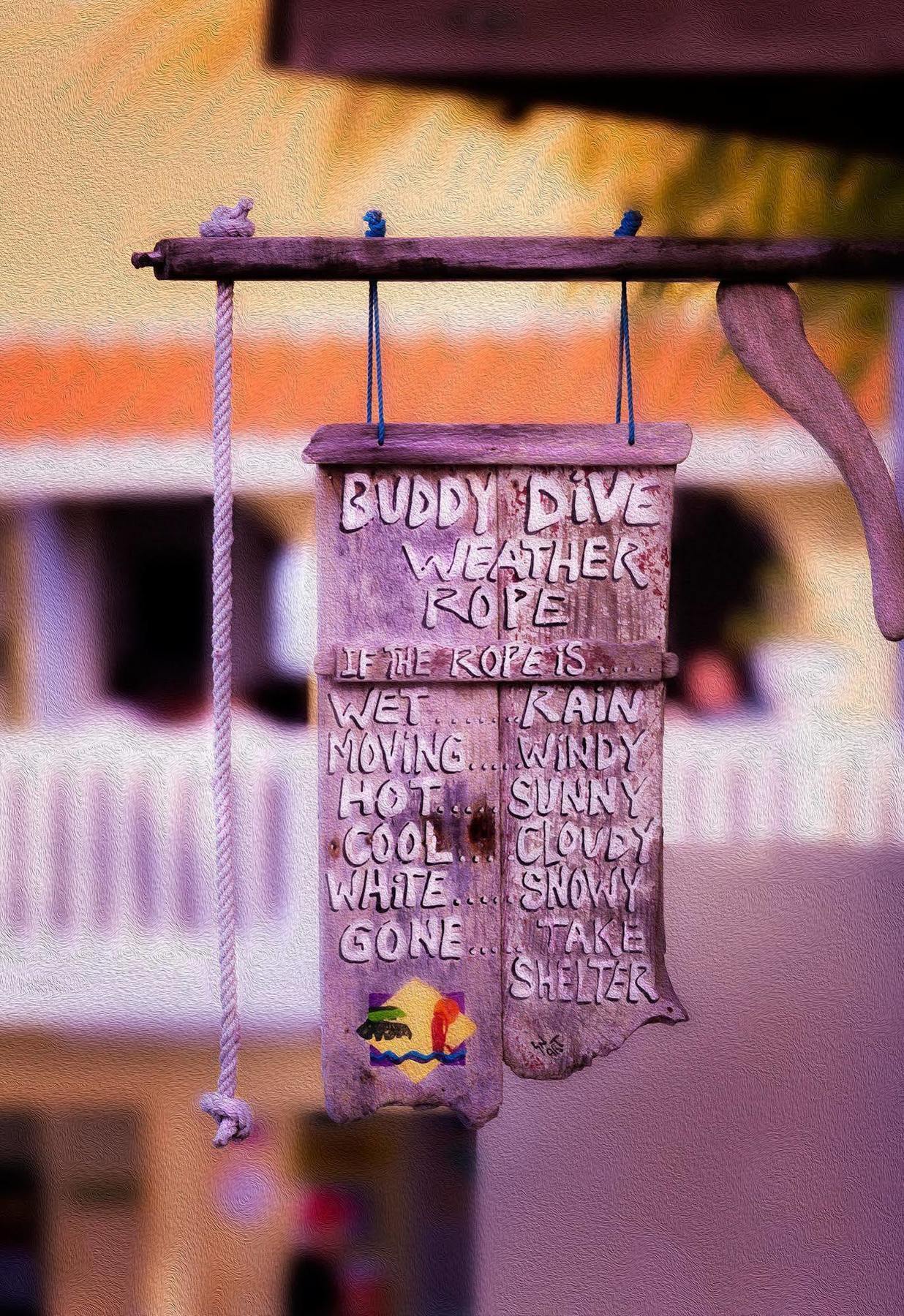 Buddy Dive 3* Kralendijk (Bonaire)