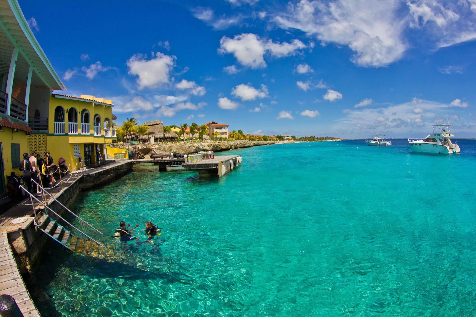Buddy Dive Kralendijk (Bonaire)