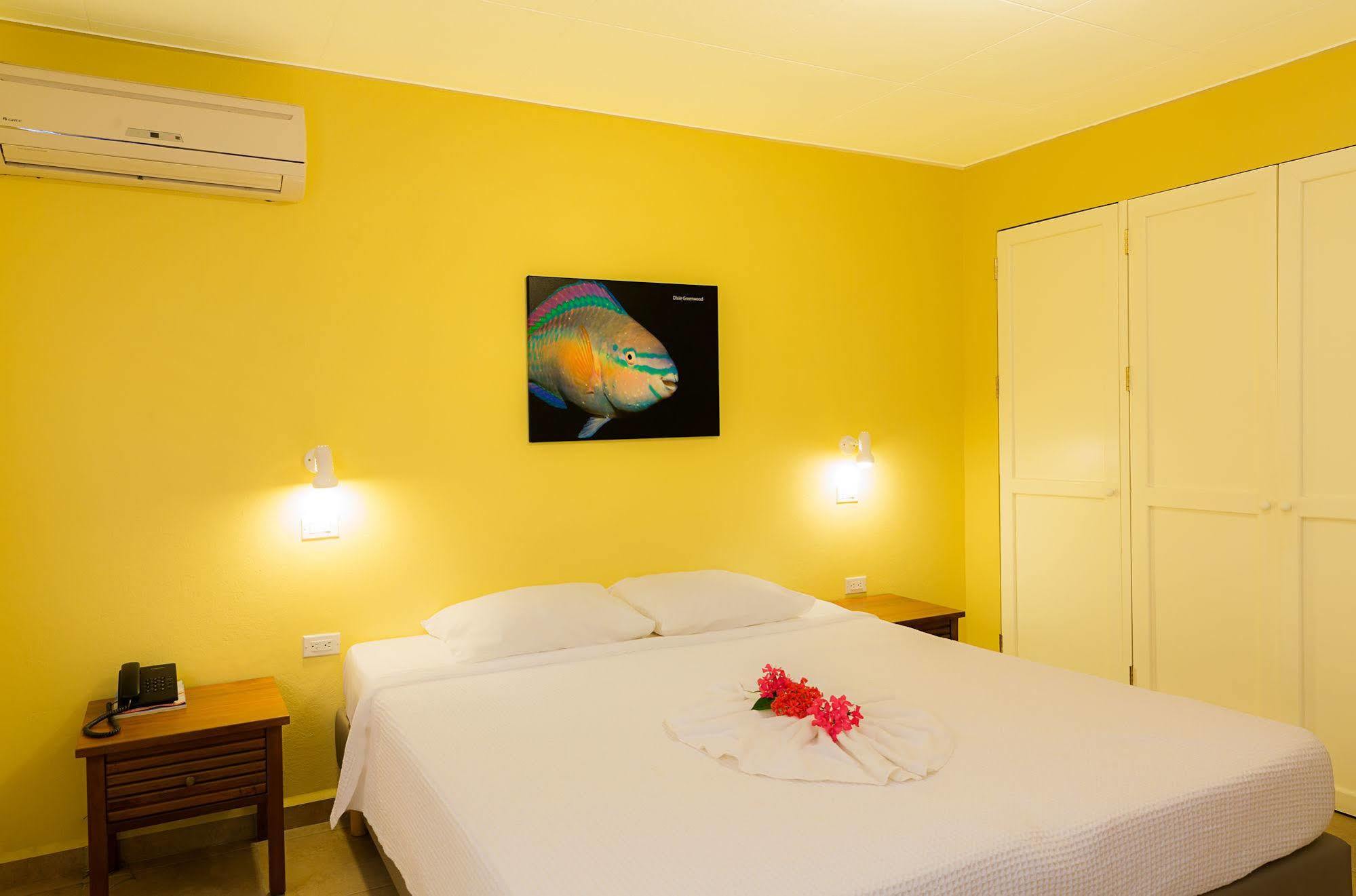 Aparthotel Buddy Dive 3*