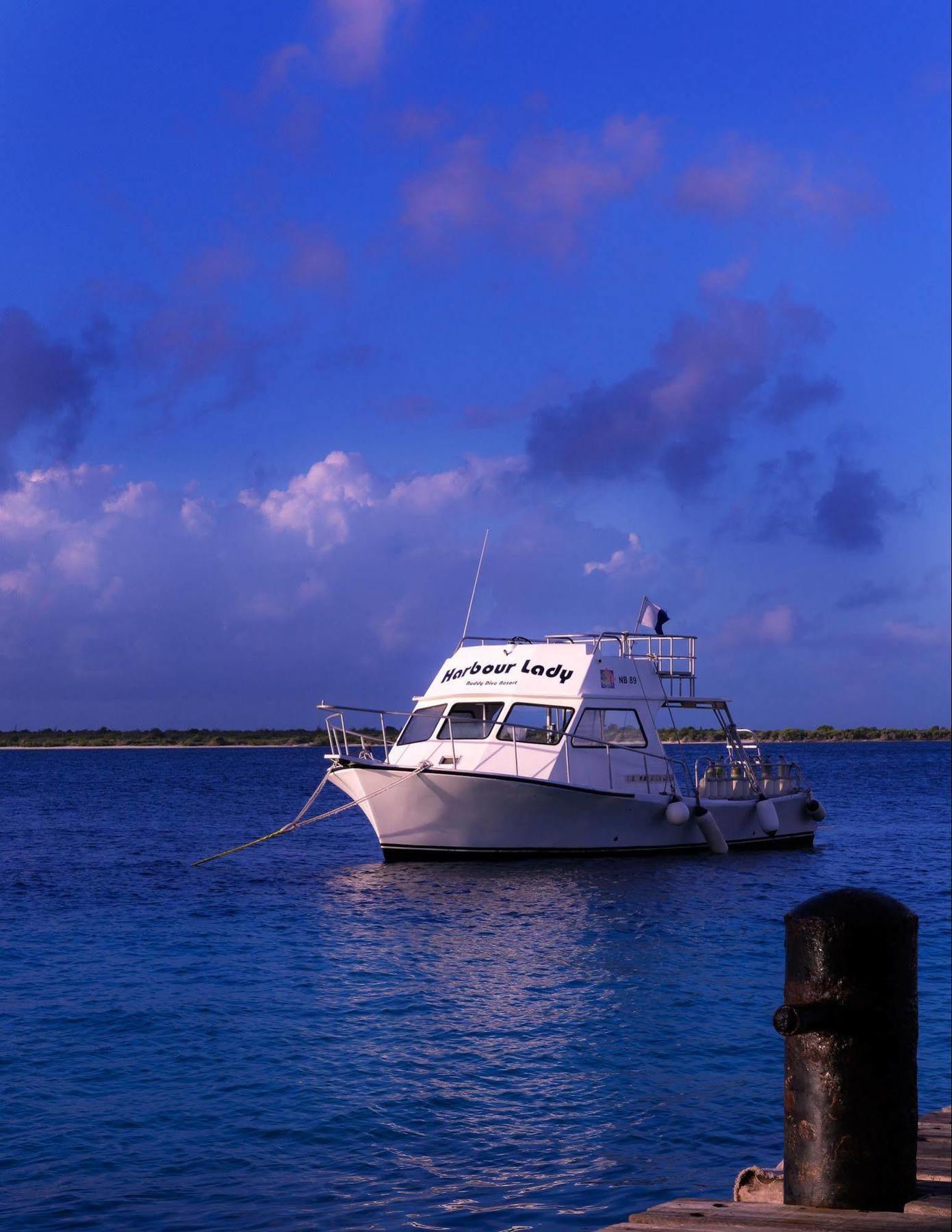 Aparthotel Buddy Dive Kralendijk (Bonaire)