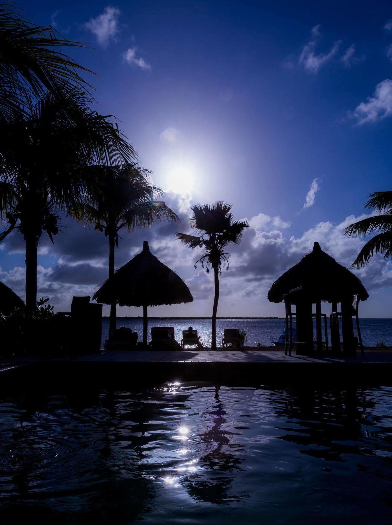 Aparthotel Buddy Dive Kralendijk (Bonaire)