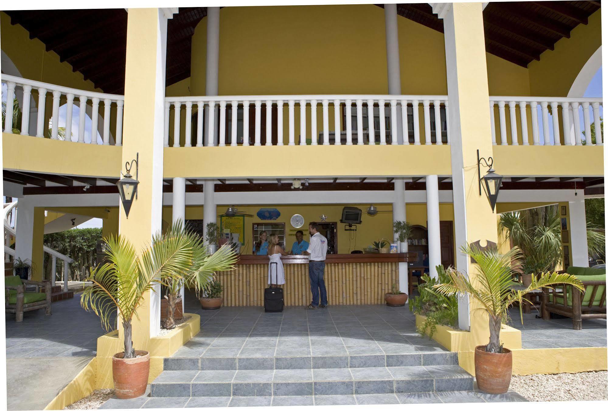 Buddy Dive 3* Kralendijk (Bonaire)