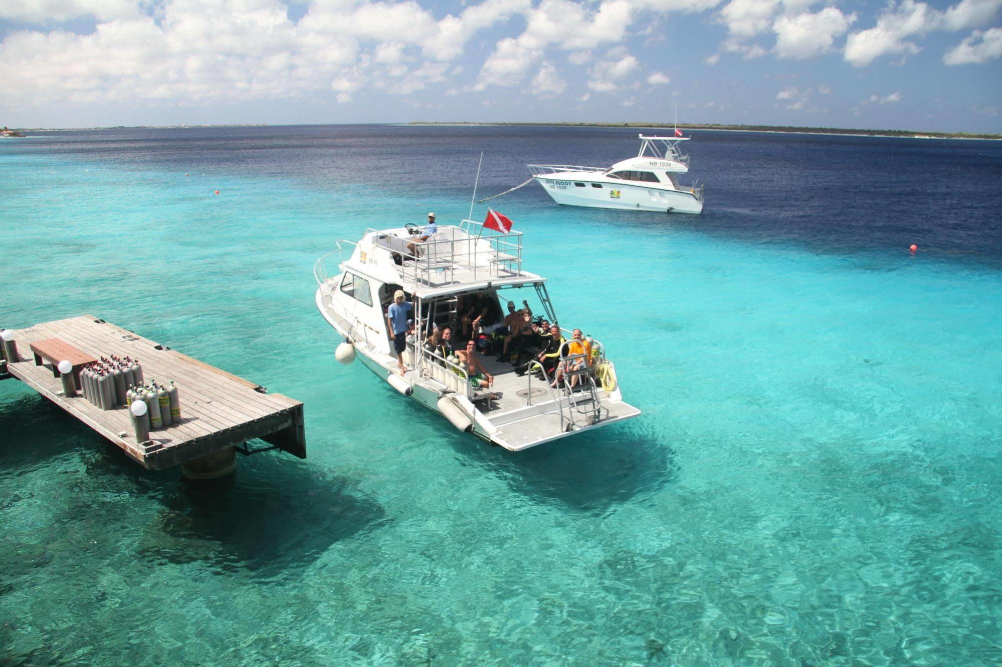 Buddy Dive 3* Kralendijk (Bonaire)